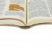 Bíblia Sagrada | Pobreza e Justiça | Capa BioCouro | NTLH065PJ