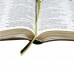 Bíblia Sagrada | NTLH | Extragigante | Marrom Claro/Escuro | NTLH085TILEXG