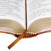Bíblia Sagrada | Letra Gigante | Capa SIntética | Marrom Claro | NTLH065LGI MRC