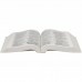 Bíblia Sagrada | Letra Gigante | Brochura | Ilustração Barco | NTLH060LGI