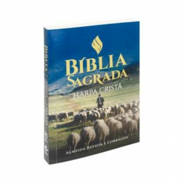 Bíblia com Harpa Brochura Ilustrada Azul Rebanho ARC60H